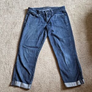 Joe's Jeans Indigo Denim